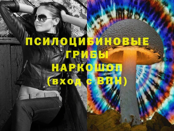 прущие грибы Бугульма
