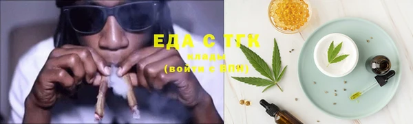 тгк Магас