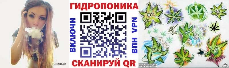 где продают наркотики  Вилючинск  KRAKEN маркетплейс  Марихуана индика 